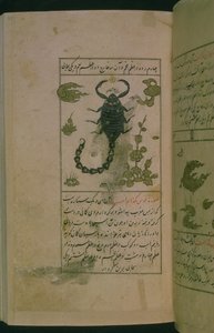 أبراج البروج: العقرب ، العقرب ، من تلم دار المعرفة في التقوى ، 1498 هـ (903 هـ) (حبر). بواسطة أبو جعفر الطبري