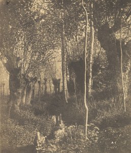 [المناظر الطبيعية ، أراس] ، 1852. بواسطة Adalbert Cuvelier