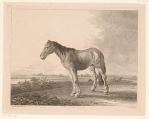 يقف حصانًا في منظر طبيعي للنهر الحيوانات بعد اللوحات التي رسمها أساتذة هولنديون (عنوان السلسلة) Différens animaux gravés d
