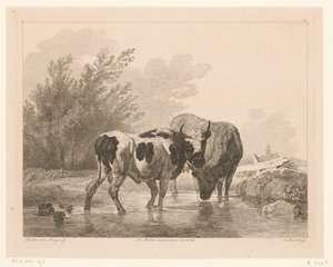 بقرتان في مجرى مائي الحيوانات بعد اللوحات التي رسمها أساتذة هولنديون (عنوان السلسلة) Différens animaux gravés d