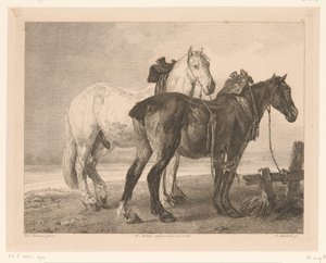 حصانان في منظر نهر الحيوانات بعد اللوحات التي رسمها أساتذة هولنديون (عنوان السلسلة) Différens animaux gravés d