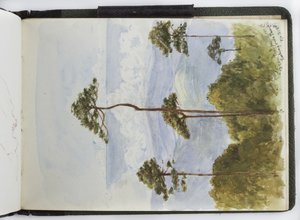 كراسة رسم للألوان المائية والرسومات والملاحظات ، المكسيك ، 1896-1898 (ألوان مائية) بواسطة أديلا بريتون