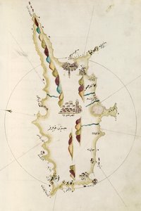 Map of island of Cyprus, illustration from Portolano atlas, by Admiral Piri Reis (1465-1470 - 1553-1554) بواسطة الأدميرال بيري ريس