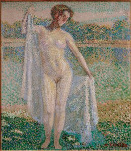 أنثى عارية ، 1908