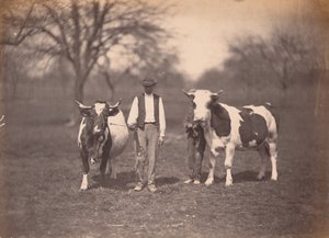 منظر طبيعي، ج. 1864 (صورة فوتوغرافية) بواسطة أدولف براون