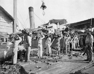 تحميل الموز ، بورت أنطونيو ، جامايكا ، c1905. بواسطة أدولف دوبيرلي وابنه