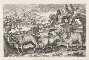 الماعز والأغنام الحيوانات ذات الأرجل الأربعة (عنوان السلسلة) Animalivm Qvaddrvpedvm (عنوان السلسلة) بواسطة ثيودور جالي