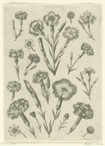 أنوار مختلفة Florilegium (عنوان المسلسل) بواسطة أدريان كوليرت