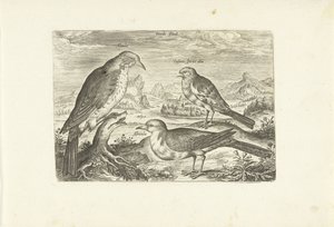ثلاثة طيور في منظر طبيعي Avium Vivae (عنوان المسلسل) الطيور (عنوان السلسلة) بواسطة أدريان كوليرت