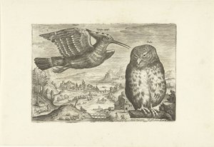 بعض الطيور في المناظر الطبيعية الطيور (عنوان السلسلة) Avium vivae (عنوان المسلسل) بواسطة ثيودور جالي