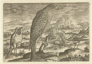 بعض الطيور في المناظر الطبيعية الطيور (عنوان السلسلة) Avium vivae (عنوان المسلسل) بواسطة ثيودور جالي