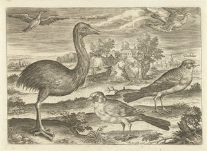 بعض الطيور في المناظر الطبيعية الطيور (عنوان السلسلة) Avium vivae (عنوان المسلسل) بواسطة ثيودور جالي