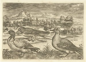 بعض الطيور في المناظر الطبيعية الطيور (عنوان السلسلة) Avium vivae (عنوان المسلسل) بواسطة ثيودور جالي