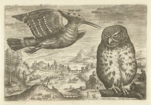 بعض الطيور في المناظر الطبيعية الطيور (عنوان السلسلة) Avium vivae (عنوان المسلسل) بواسطة ثيودور جالي
