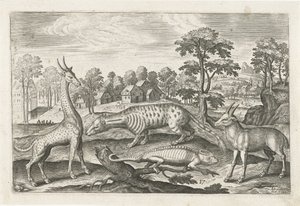 حيوانات غريبة الحيوانات ذات الأرجل الأربعة (عنوان السلسلة) Animalivm Qvaddrvpedvm (عنوان المسلسل) بواسطة أدريان كوليرت