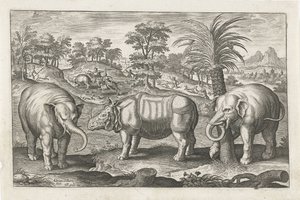 الفيلة ووحيد القرن الحيوانات ذات الأرجل الأربعة (عنوان السلسلة) Animalivm Qvaddrvpedvm (عنوان المسلسل) بواسطة ثيودور جالي