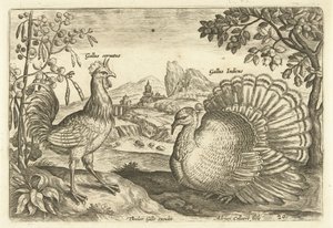 طفلان في منظر طبيعي Avium Vivae (عنوان المسلسل) الطيور (عنوان السلسلة) بواسطة ثيودور جالي