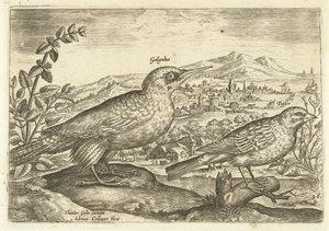 عصفورين في منظر طبيعي Avium Vivae (عنوان المسلسل) الطيور (عنوان السلسلة) بواسطة ثيودور جالي