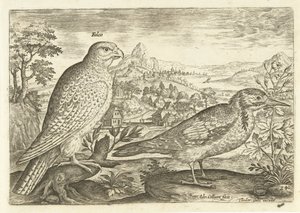 عصفورين في منظر طبيعي Avium Vivae (عنوان المسلسل) الطيور (عنوان السلسلة) بواسطة ثيودور جالي
