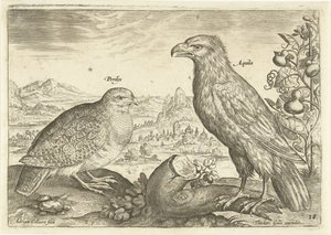 عصفورين في منظر طبيعي Avium Vivae (عنوان المسلسل) الطيور (عنوان السلسلة) بواسطة ثيودور جالي