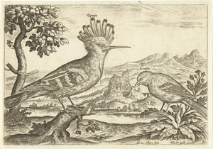 عصفورين في منظر طبيعي الطيور (عنوان السلسلة) Avium Vivae (عنوان المسلسل) بواسطة ثيودور جالي