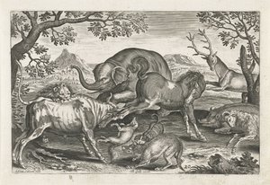 قتال الحيوانات الحيوانات ذات الأرجل الأربعة (عنوان السلسلة) Animalivm Qvaddrvpedvm (عنوان المسلسل) بواسطة ثيودور جالي