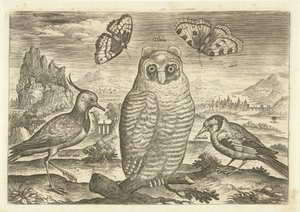 الطيور والفراشات في المناظر الطبيعية الطيور (عنوان السلسلة) Avium vivae (عنوان المسلسل) بواسطة أدريان كوليرت