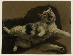 القط ملقى على ظهره ومخلبه فضفاض بواسطة Adriaen van de Velde (منسوب إلى)