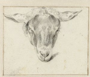 رأس غنم من الأمام بواسطة Adriaen van de Velde (منسوب إلى)