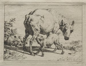 النعجة وحملان ، 1670. بواسطة أدريان فان دي فيلدي
