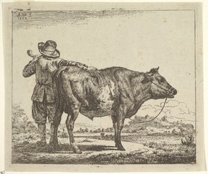 راعي شاب مع ثور ، من حيوانات مختلفة ، 1659. بواسطة أدريان فان دي فيلدي