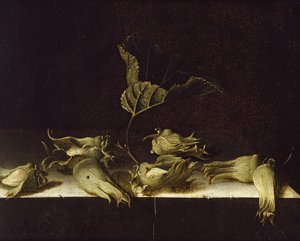 الحياة الساكنة مع المكسرات ، 1696 (زيت على ورق) بواسطة Adrian Coorte