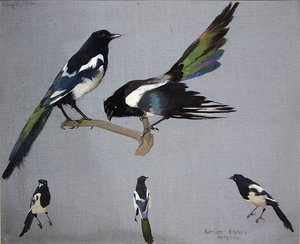 طائر العقعق (زيت على قماش)