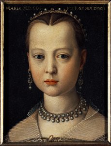 صورة لماري ميديشي (1540-1557) ابنة كوزيمو الأول من توسكانا (كوزيمو الأول دي ميديشي) (1519-1574) (صورة ماريا دي ميديشي ابنة كوزيمو الأول دي ميديشي ، دوق توسكانا الأكبر) بواسطة Cosimo) (1503-1572) 1551 Dim 15x12 c بواسطة أغنولو برونزينو
