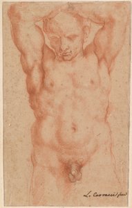 ذكر عارية بواسطة Agostino Carracci
