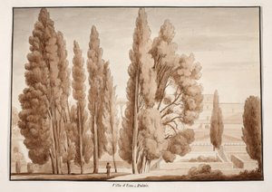 The Villa d&39;Este، 1833 (النقش بغسل بني) بواسطة اجوستينو توفانيلي