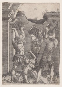 سحق نبات Tarpeia بواسطة Sabines ، كاليفورنيا. 1514-3