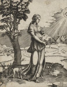 The Cumaean Sybil ، 1516 (النقش على ورق مسدود)