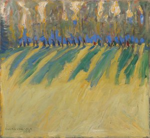 الإضاءة والظلال بواسطة أكسيلي فالديمار جالن كاليلا