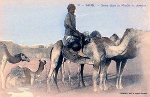 سيرير ، الساحل ، السنغال ، القرن العشرين بواسطة الباريت