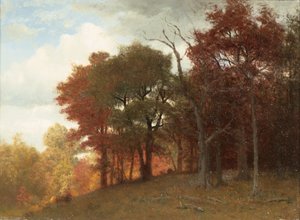 هاستينغز على نهر هدسون ، 1865 (زيت على الكتان) بواسطة ألبرت بيرشتات