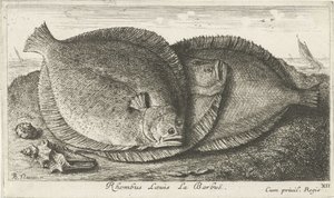 ثلاث فراخ على الشاطئ Rhombus Laeuis La Barbuë (العنوان على الكائن) الأسماك والمخلوقات البحرية الأخرى - السلسلة الثالثة للمياه المالحة (عنوان السلسلة) Poissons de Mer (عنوان السلسلة) بواسطة ألبرت فلمش