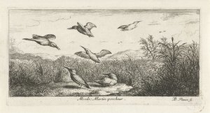 المناظر الطبيعية مع kingfishers Alcedo. مارتن بيبي. (العنوان على الكائن) كتاب الطيور (عنوان السلسلة) Livre d