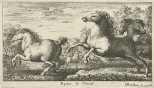 خيل Equus le Cheval (العنوان على الكائن) أنواع الحيوانات المختلفة (عنوان السلسلة) بواسطة ألبرت فلمش
