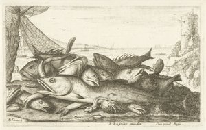 صيد السلطعون الناسك أنواع الأسماك المختلفة (عنوان السلسلة) Diverses Especes De Poissons tant de Mer، que d