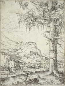 شجرة التنوب الكبيرة ، c.1520 بواسطة ألبريشت التدورفر