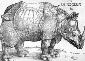 Rhinoceros بواسطة ألبريشت دورر