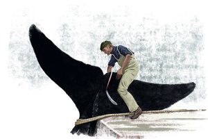 قارب الحوت يقطع ذيل الحوت بواسطة أليساندرو لوناتي