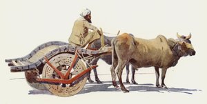 عربة بولوك ، جودبور