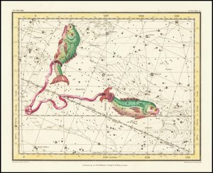  بواسطة ألكسندر جاميسون